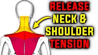 Instant neck pain relief & greater mobility: Release upper trapezius muscle tension!