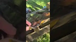терраса из поликарбоната