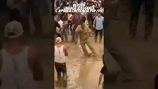 Только в Lineage 2 Essence лучшая система PvP/PK.