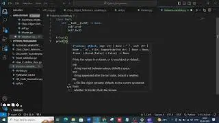 Python :Instance Variables