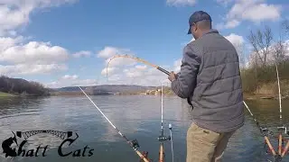 Rods Were Going Down Left And Right - Multiple BIG Catfish