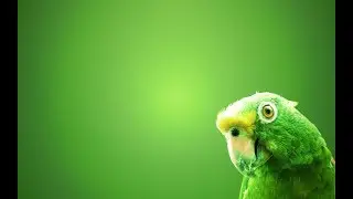 GREEN SCREEN NATURE MIXED GREEN EFFECT