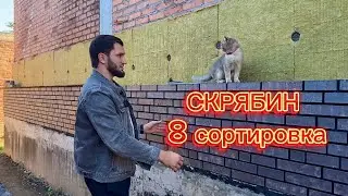 Чечня, г. Грозный. Облицовка кирпича Скрябин клинкер 8 сортировка на черный шов.