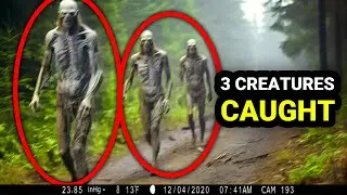What This Trail Cam Captured Shocked All The Scientists