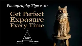 Mastering the Exposure Triangle in 3 Minutes | Fast & Simple Guide