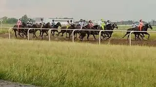 Аламан бәйге Павлодар 3 бөлім!