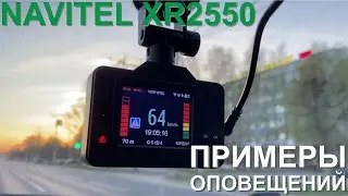 Примеры оповещений Navitel XR2550
