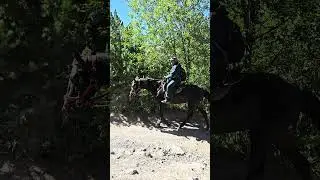 18 августа 2024 г.