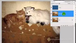 цветокоррекция фотографии в фотошопе