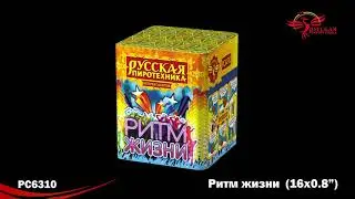 РС6310 Ритм жизни (0,8