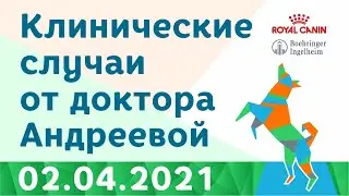 Клинические случаи от доктора Андреевой 5.04.2021