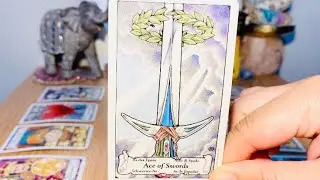 VIRGO! JAN 18th/24th - 
