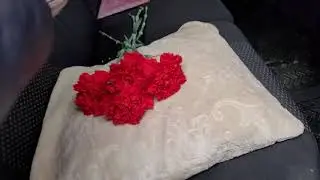 Первый раз такое