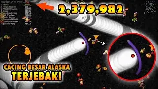 JEBAK CACING BESAR ALASKA! AUTO PERINGKAT NO 1 DUNIA - WORMS ZONE INDONESIA