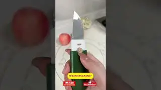 WhatsApp Video 2024 01 10 at 19 54 29 58422a9e