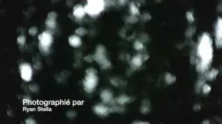Interview with a plant
