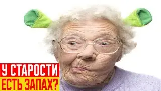 Откуда Берётся Запах Старости?
