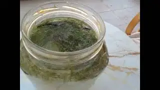Equisetum hyemale активирует воду