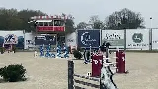 Kto Terminator - first try 135cm CSI* - 2017y, mare, Dominator Z x Cicero Z