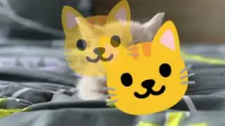 putty katt