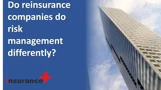 Do reinsurance companies do risk management differently from insurance companies?