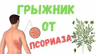Грыжник трава (Остудник) при псориазе ✅ Применение Грыжника (Остудника): ✅ Приготовление