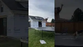 New Trampoline from AMAZON!