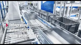 Automation in Action