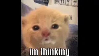 im!!thinking.... :]