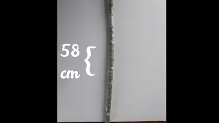 IL BRACCIO FIORENTINO SUB/FRA