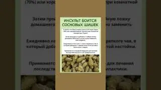 Польза сосновых шишек #сосновый #инсульт #шишка #народнаямедицина #полезнознать #настойки