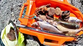 Outder Xmas eve dive