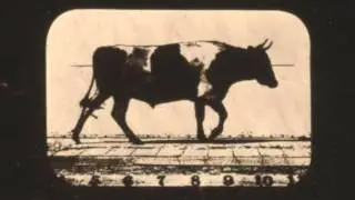 1878-1881 Eadward Muybridge - 