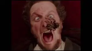 Super creepy and cute spider compilation!