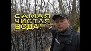 Загадки лесного озера
