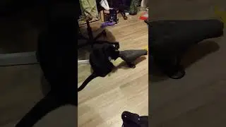 Фрейя и ворона