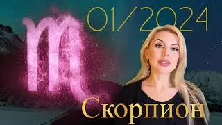 СКОРПИОН - ПРОГНОЗ на ЯНВАРЬ 2024