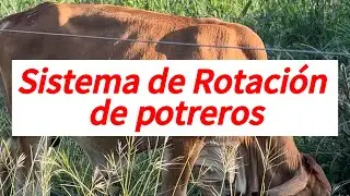 Sistema de rotación de potreros