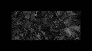 KOL - Пласты video edit