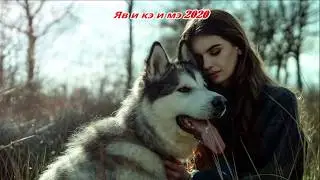 Цыганская песня 