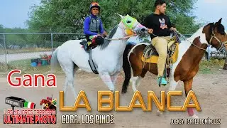 15.-La Blanca vs El Platino vs El Cuervo-.m