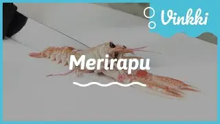 Merirapu | Kalan käsittely