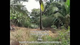 เกษตรแบบพอเพียงดำรงอยู่ได้อย่างมั่นคงและยั่งยืนในกระแสโลกาภิวัตน์และความเปลี่ยนแปลงต่าง ๆ