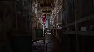Наш тгк: darindvor2