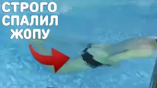 У Строго слетели трусы|Спалил ж0пу ахахаха