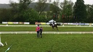 SRNC Romania - Dressage Final Set Test