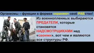 Конец всем ОТПИСКАМ! Отписка это сокрытие и соучастие в ПРЕСТУПЛЕНИИ!