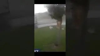 Будь как стул. 