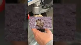 ЕСЛИ ВЫ УВИДИТЕ ЭТО ДОМА, БЕГИТЕ