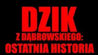 [TEASER] DZIK Z DĄBROWSKIEGO: OSTATNIA HISTORIA